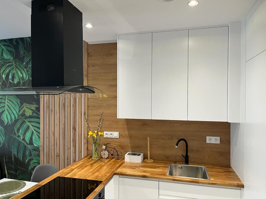 Apartament Zacisze 13 Piaseczno  Kültér fotó